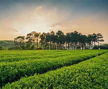 宜興西渚鎮(zhèn)網(wǎng)站建設(shè) 探索智慧鄉(xiāng)鎮(zhèn)發(fā)展的新路徑與未來展望