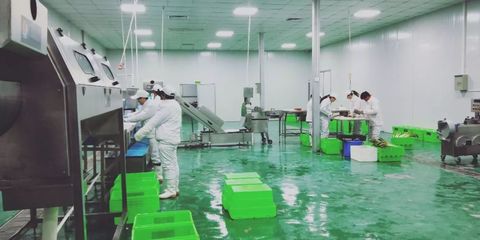 電商時代下，涇陽傳統蔬菜企業的變革與創新之路